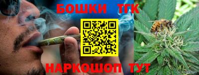 гашик Тула