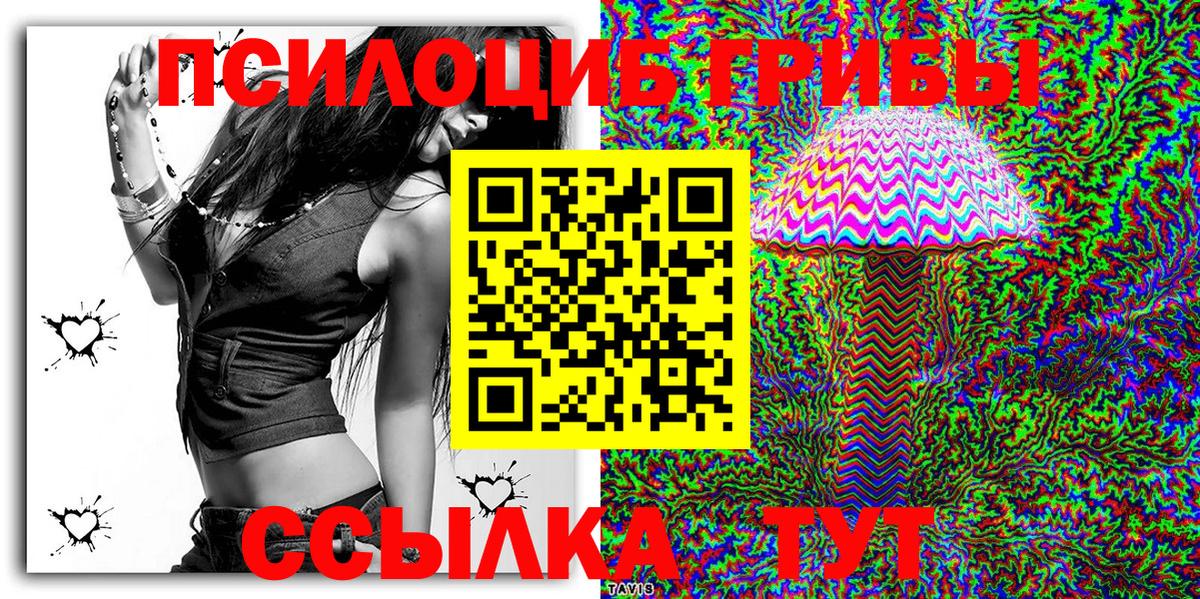 Ногинск  купить закладку  Псилоцибиновые грибы Magic Shrooms  Вход с VPN  Псилоцибиновые грибы Psilocybe 