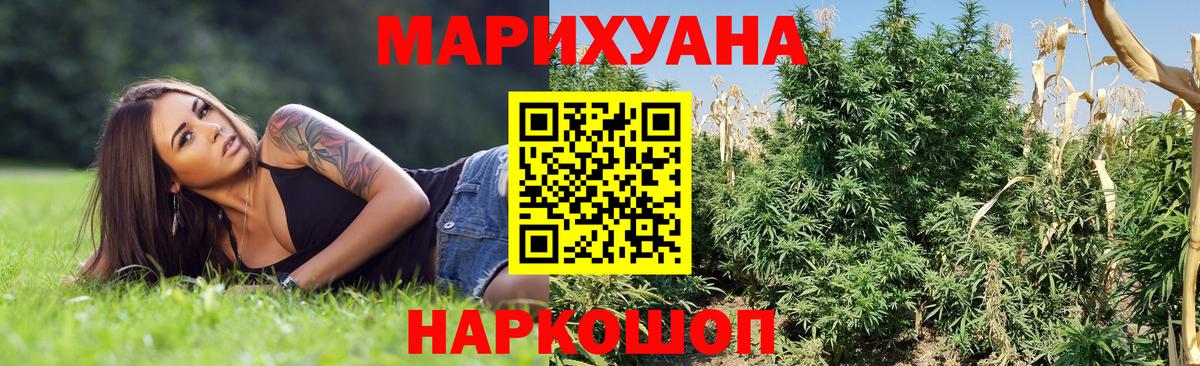 Бошки марихуана планчик Ногинск